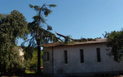 Tromba d’aria con grandine – danneggiamento di immobili comunali